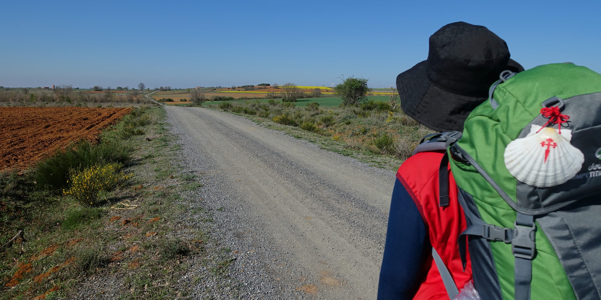 Pilgrimage Hero Image (pilgrim walking the Camino de Santiago)