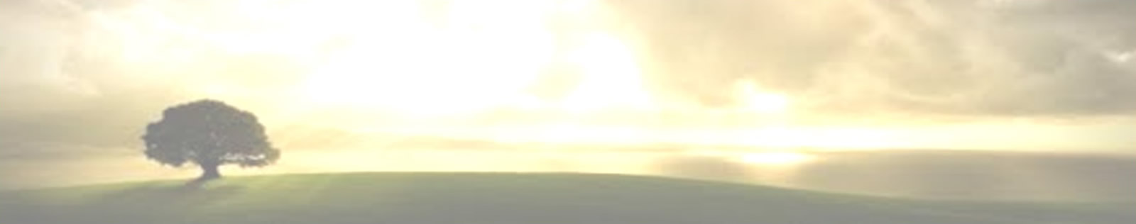 funeral planning hero image